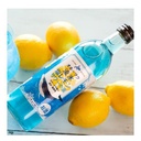 Hokkaido Glacier Lemon Sour