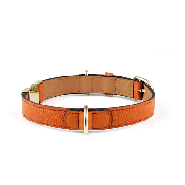 Handcrafted Engraved Leather Dog Collar - Saffron Orange (S Size)