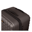 Caterpillar Industrial Plate Trunk Trolley