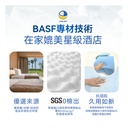 日本DEAR.MIN 雲感多重軟芯柔托緩壓Peace柔眠枕