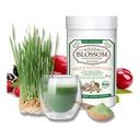 BLOSSOM Green Superfoods 300g