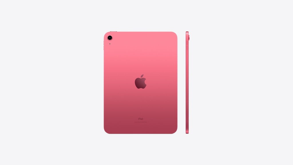 10.9-inch iPad Wi-Fi 256GB