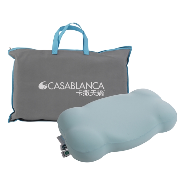 CASA Sleep-Lab Cool Contour Pillow (NP100PCO17)