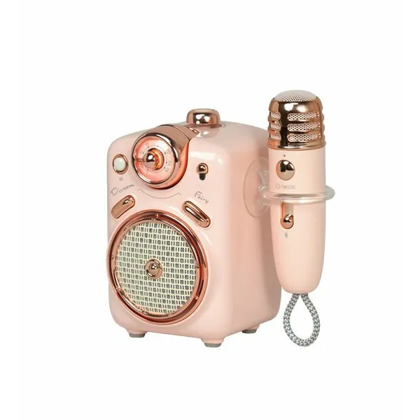 Divoom Fairy - 2 Karaoke FM Radio Speaker