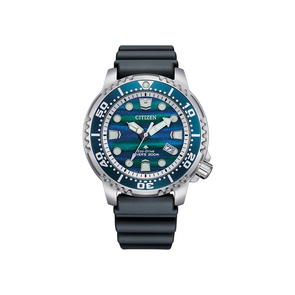 Citizen - Promaster - BN0167-09W