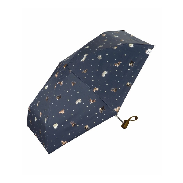 WPC mini UMBRELLA 801-HK004-102 47CM WPP099-HK004