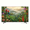 Skyworth - 43G66K 43-inch G66K Series 4K UHD Android 14 Smart TV