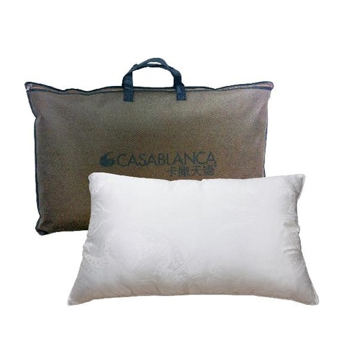 [146F0002] CASABLANCA - 2 Supreme Breathable Silk Pillows