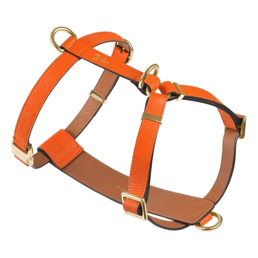 Furri Tail Handcrafted Engraved Leather Dog Harness