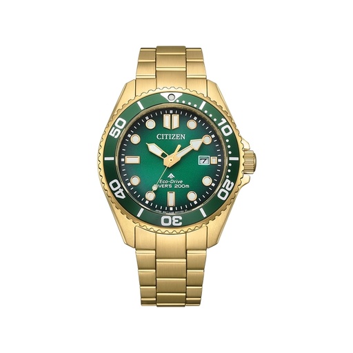 [159F0220] Citizen - Promaster - BN0262-59W