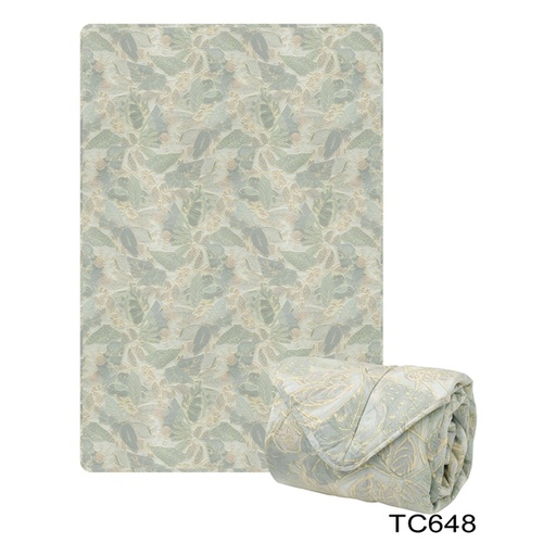CASABLANCA 抗菌薄荷全天絲™被 - (TC648SQQ)