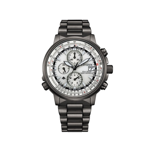 [125F1191] Citizen - Promaster - AT8304-57A