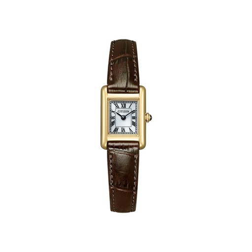 [125F0107] Citizen - Eco Drive - EG2797-13A