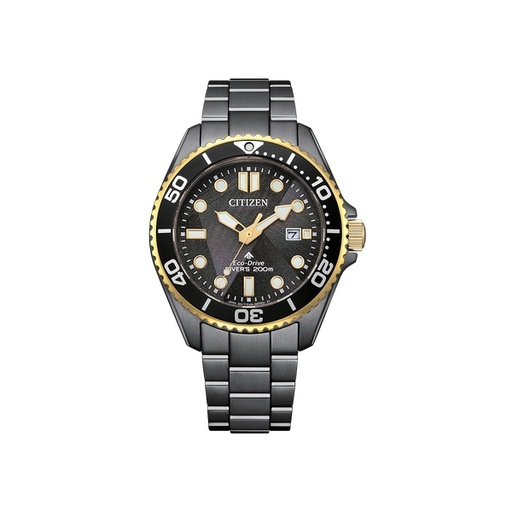 [125F0131] Citizen - Promaster - BN0264-53E